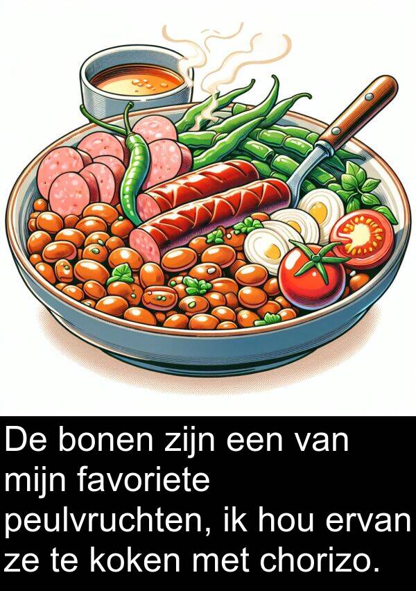 favoriete: De bonen zijn een van mijn favoriete peulvruchten, ik hou ervan ze te koken met chorizo.