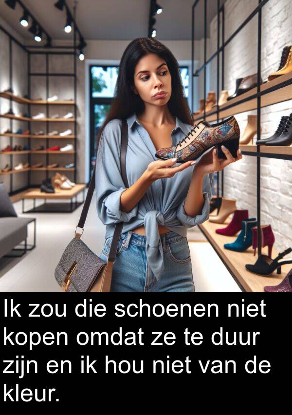 kleur: Ik zou die schoenen niet kopen omdat ze te duur zijn en ik hou niet van de kleur.