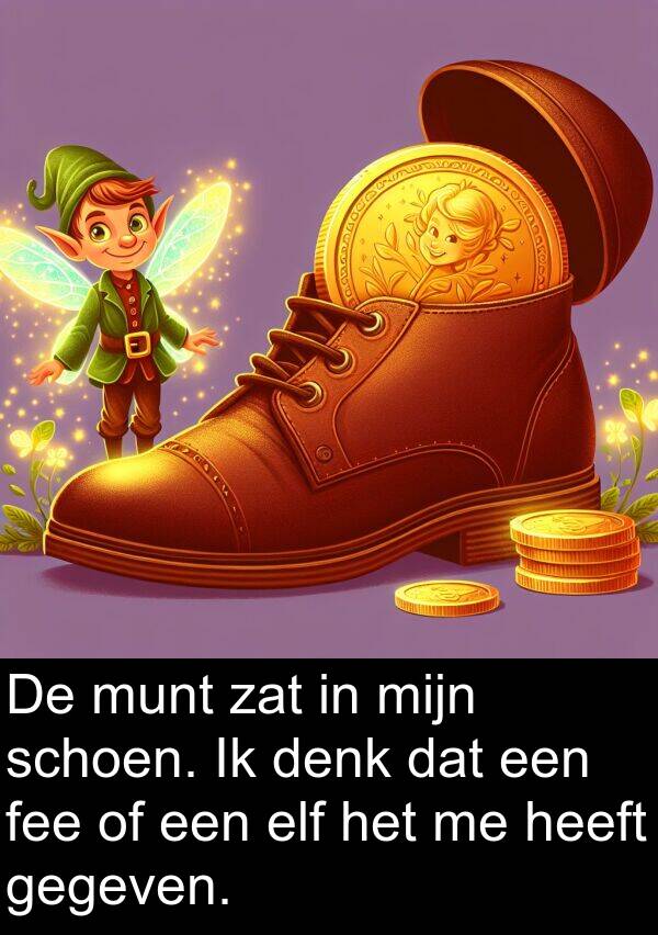 schoen: De munt zat in mijn schoen. Ik denk dat een fee of een elf het me heeft gegeven.