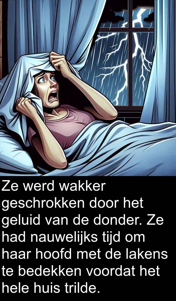 donder: Ze werd wakker geschrokken door het geluid van de donder. Ze had nauwelijks tijd om haar hoofd met de lakens te bedekken voordat het hele huis trilde.