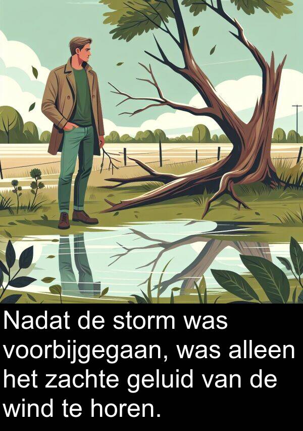 zachte: Nadat de storm was voorbijgegaan, was alleen het zachte geluid van de wind te horen.