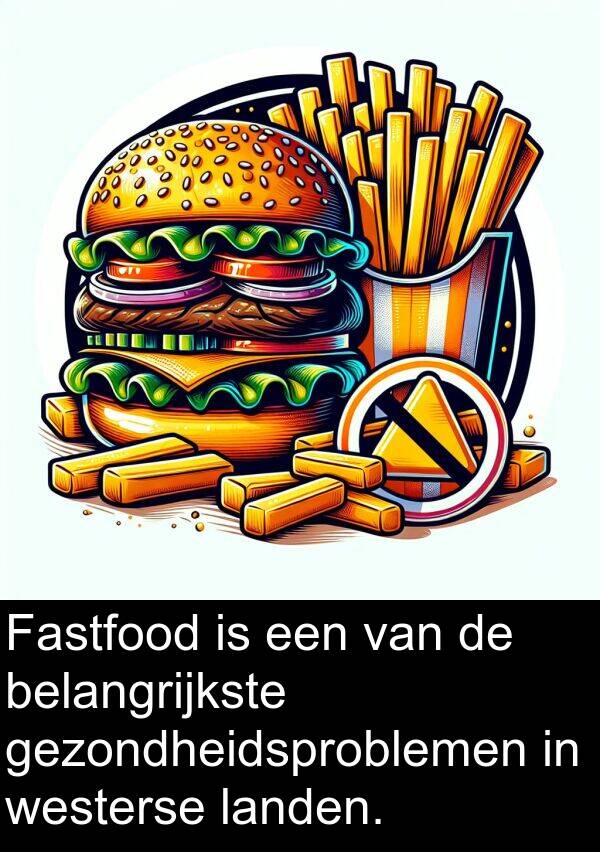 landen: Fastfood is een van de belangrijkste gezondheidsproblemen in westerse landen.