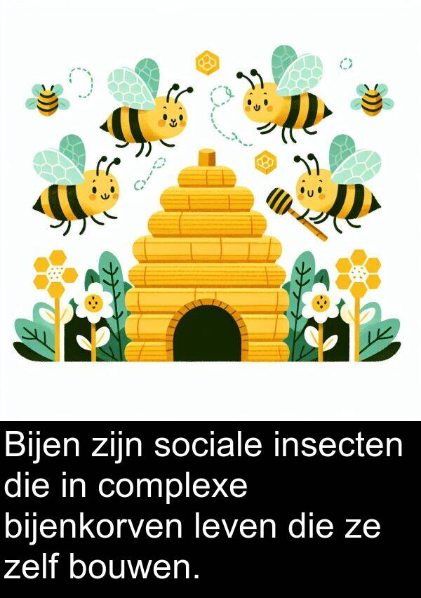 insecten: Bijen zijn sociale insecten die in complexe bijenkorven leven die ze zelf bouwen.