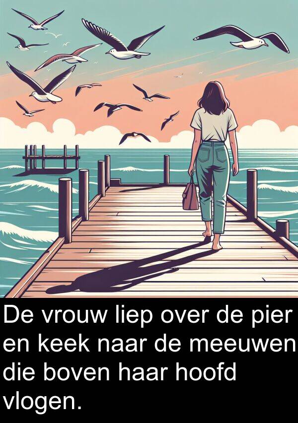 keek: De vrouw liep over de pier en keek naar de meeuwen die boven haar hoofd vlogen.