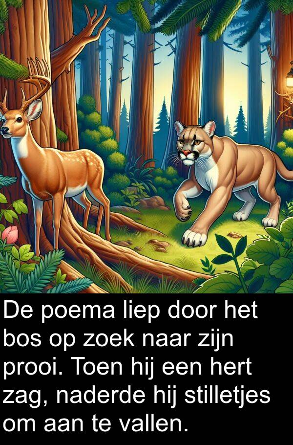 poema: De poema liep door het bos op zoek naar zijn prooi. Toen hij een hert zag, naderde hij stilletjes om aan te vallen.