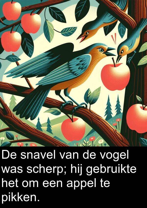 gebruikte: De snavel van de vogel was scherp; hij gebruikte het om een appel te pikken.