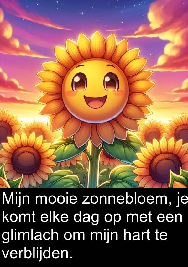 hart: Mijn mooie zonnebloem, je komt elke dag op met een glimlach om mijn hart te verblijden.