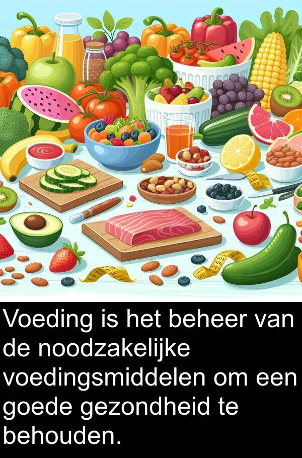 noodzakelijke: Voeding is het beheer van de noodzakelijke voedingsmiddelen om een goede gezondheid te behouden.