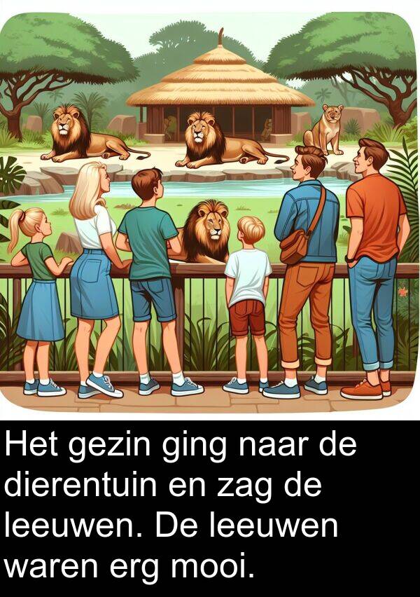 leeuwen: Het gezin ging naar de dierentuin en zag de leeuwen. De leeuwen waren erg mooi.