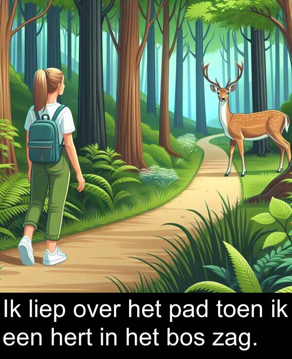 pad: Ik liep over het pad toen ik een hert in het bos zag.