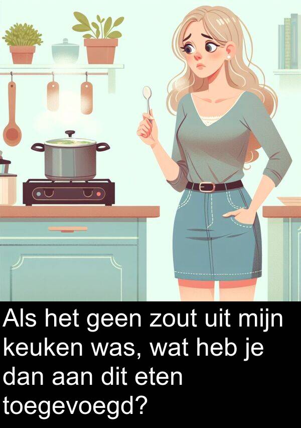 dan: Als het geen zout uit mijn keuken was, wat heb je dan aan dit eten toegevoegd?