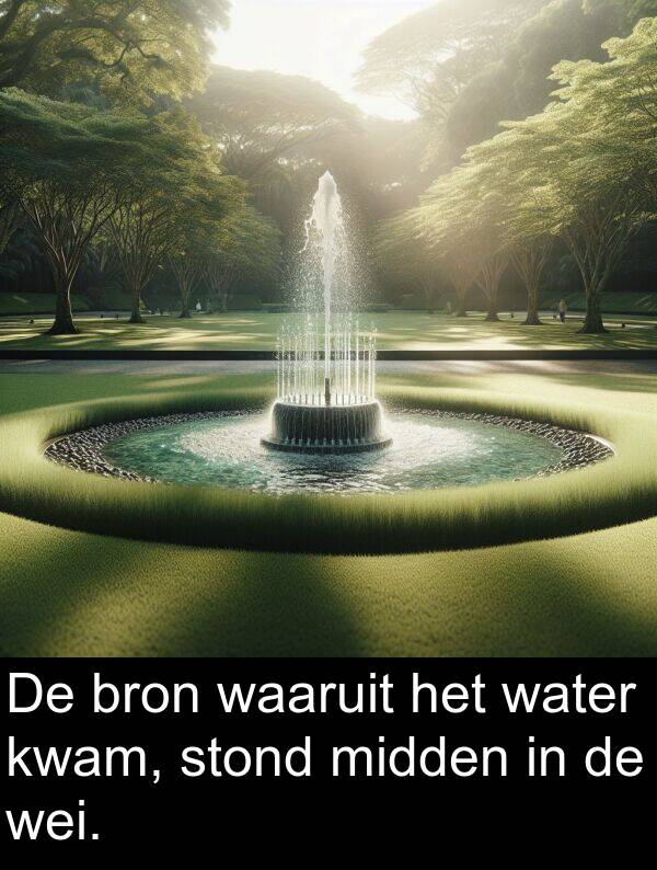 wei: De bron waaruit het water kwam, stond midden in de wei.