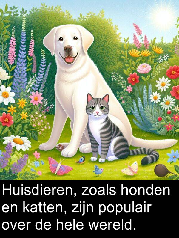 zoals: Huisdieren, zoals honden en katten, zijn populair over de hele wereld.