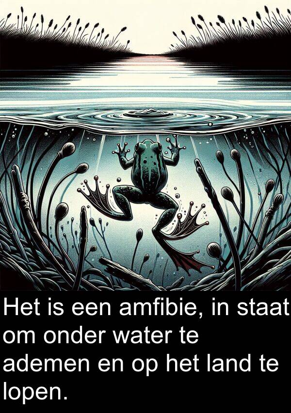 water: Het is een amfibie, in staat om onder water te ademen en op het land te lopen.