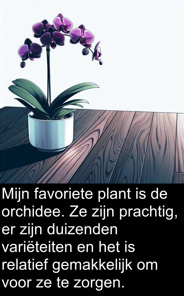 variëteiten: Mijn favoriete plant is de orchidee. Ze zijn prachtig, er zijn duizenden variëteiten en het is relatief gemakkelijk om voor ze te zorgen.