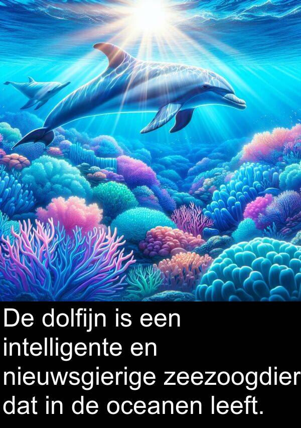 dolfijn: De dolfijn is een intelligente en nieuwsgierige zeezoogdier dat in de oceanen leeft.