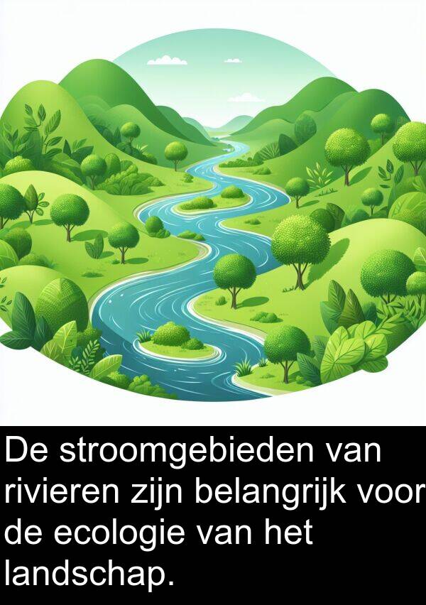 ecologie: De stroomgebieden van rivieren zijn belangrijk voor de ecologie van het landschap.