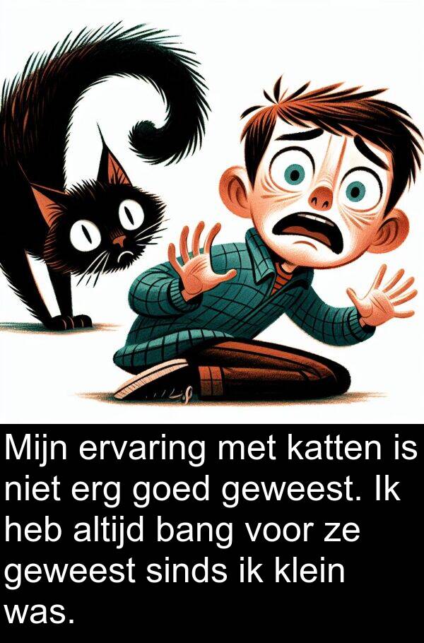 klein: Mijn ervaring met katten is niet erg goed geweest. Ik heb altijd bang voor ze geweest sinds ik klein was.