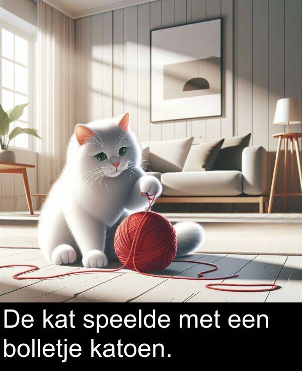 een: De kat speelde met een bolletje katoen.