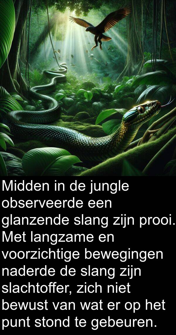 naderde: Midden in de jungle observeerde een glanzende slang zijn prooi. Met langzame en voorzichtige bewegingen naderde de slang zijn slachtoffer, zich niet bewust van wat er op het punt stond te gebeuren.