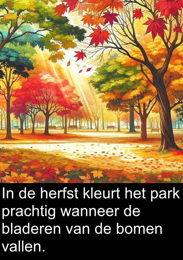 vallen: In de herfst kleurt het park prachtig wanneer de bladeren van de bomen vallen.