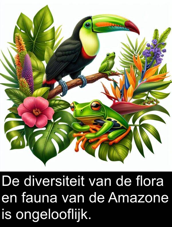 flora: De diversiteit van de flora en fauna van de Amazone is ongelooflijk.