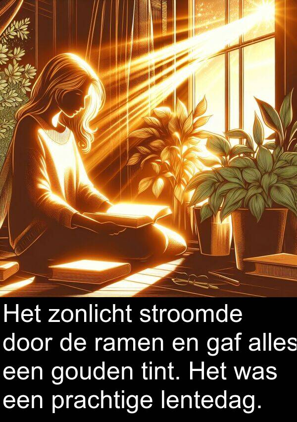 gaf: Het zonlicht stroomde door de ramen en gaf alles een gouden tint. Het was een prachtige lentedag.