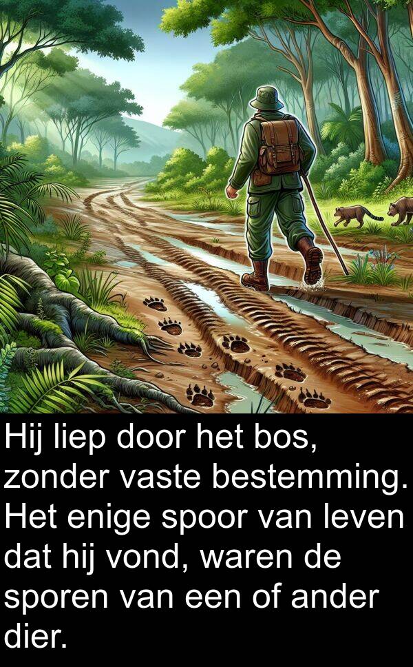 enige: Hij liep door het bos, zonder vaste bestemming. Het enige spoor van leven dat hij vond, waren de sporen van een of ander dier.