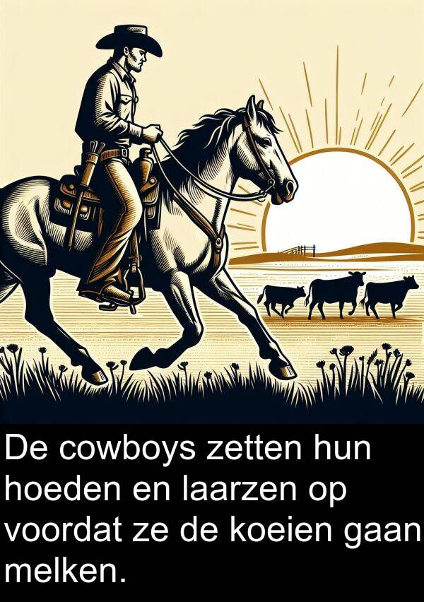 gaan: De cowboys zetten hun hoeden en laarzen op voordat ze de koeien gaan melken.