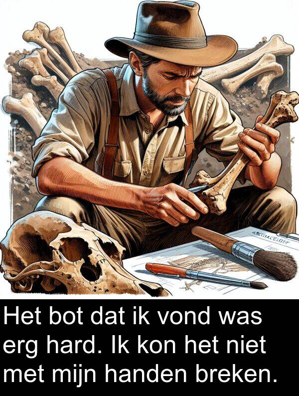 handen: Het bot dat ik vond was erg hard. Ik kon het niet met mijn handen breken.