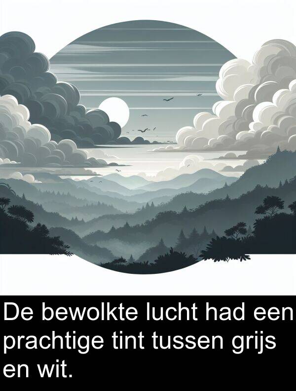 had: De bewolkte lucht had een prachtige tint tussen grijs en wit.