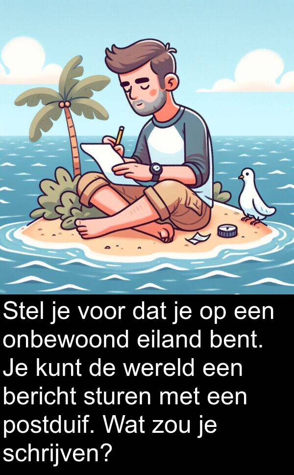 eiland: Stel je voor dat je op een onbewoond eiland bent. Je kunt de wereld een bericht sturen met een postduif. Wat zou je schrijven?