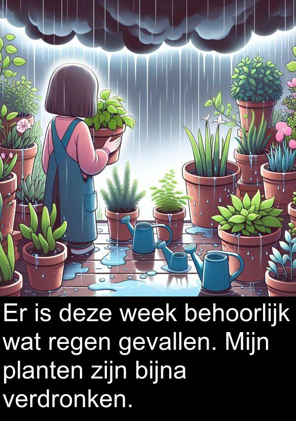 wat: Er is deze week behoorlijk wat regen gevallen. Mijn planten zijn bijna verdronken.