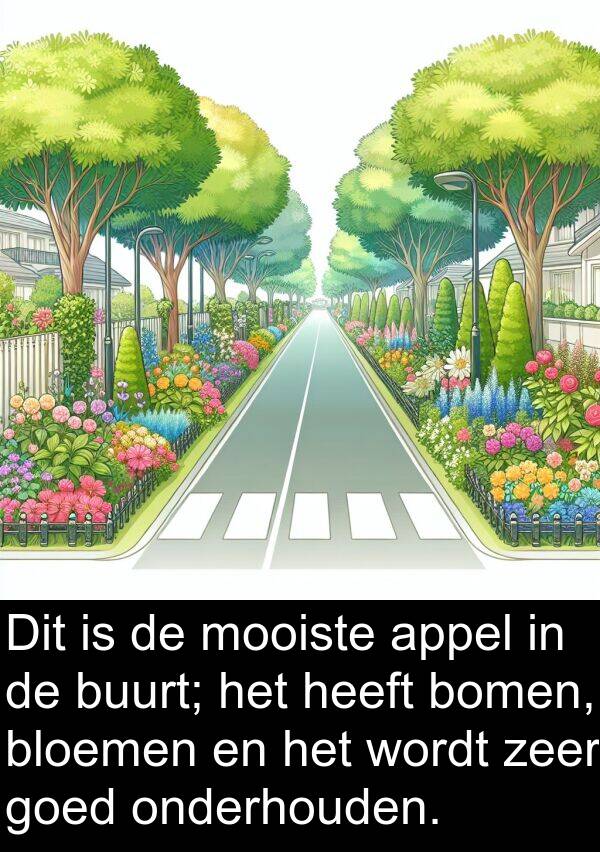 onderhouden: Dit is de mooiste appel in de buurt; het heeft bomen, bloemen en het wordt zeer goed onderhouden.