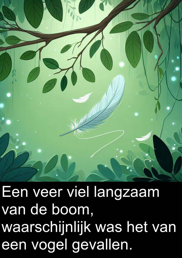 waarschijnlijk: Een veer viel langzaam van de boom, waarschijnlijk was het van een vogel gevallen.