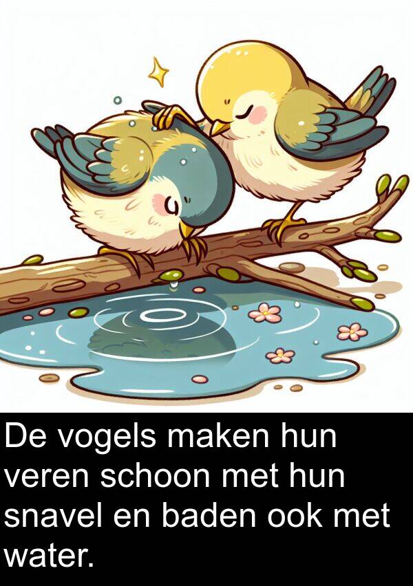 veren: De vogels maken hun veren schoon met hun snavel en baden ook met water.