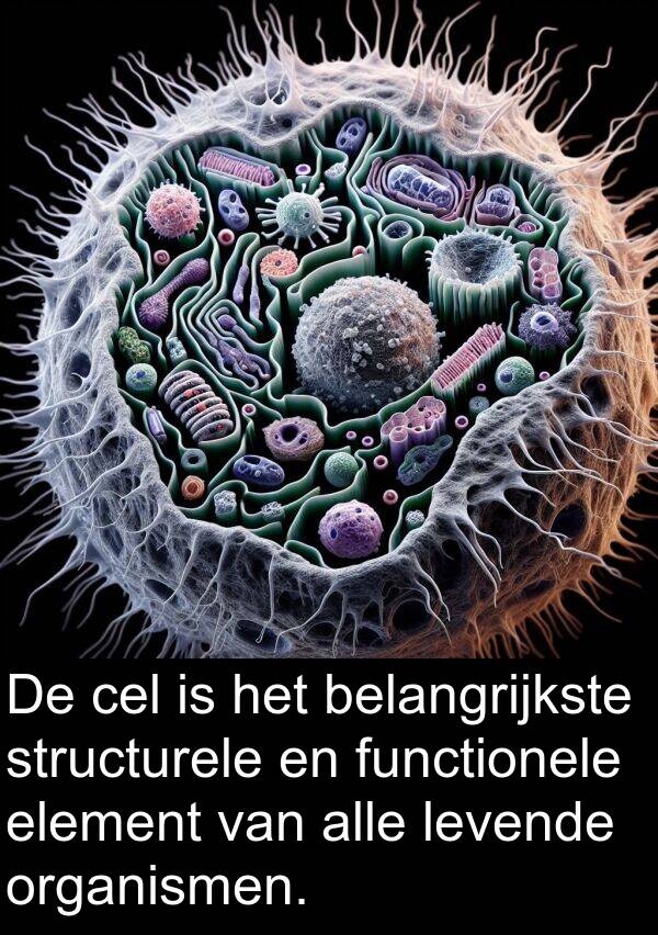 element: De cel is het belangrijkste structurele en functionele element van alle levende organismen.