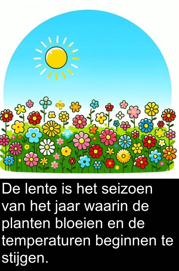 jaar: De lente is het seizoen van het jaar waarin de planten bloeien en de temperaturen beginnen te stijgen.