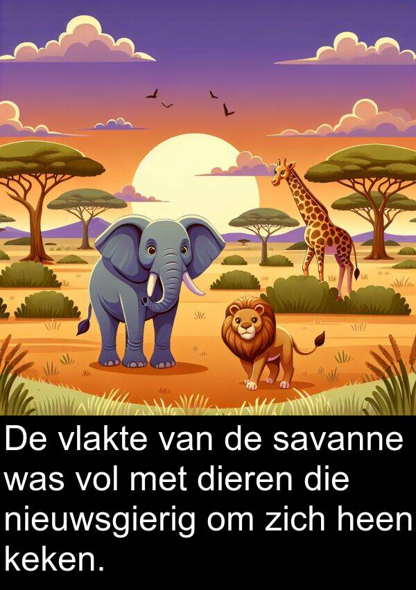 savanne: De vlakte van de savanne was vol met dieren die nieuwsgierig om zich heen keken.