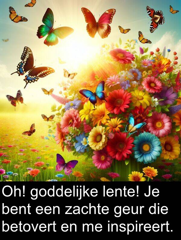 zachte: Oh! goddelijke lente! Je bent een zachte geur die betovert en me inspireert.