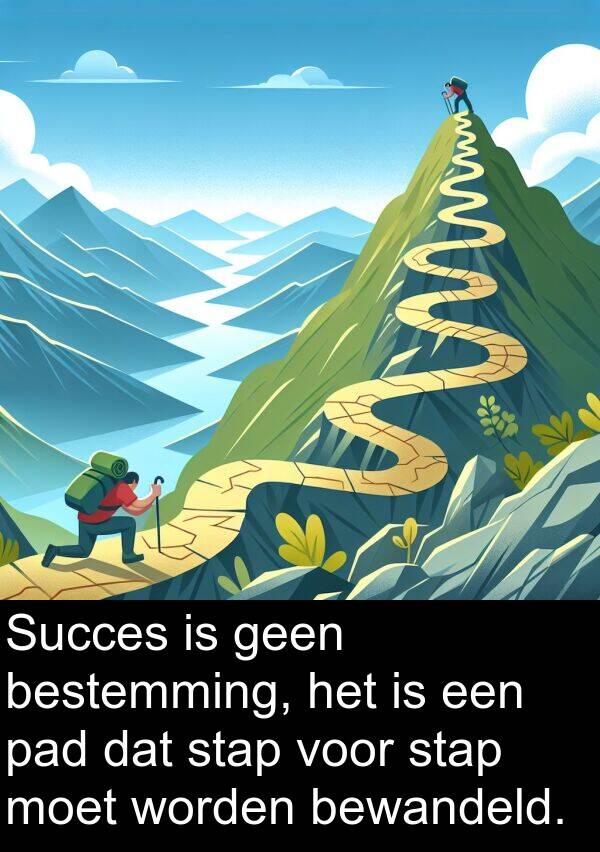 geen: Succes is geen bestemming, het is een pad dat stap voor stap moet worden bewandeld.