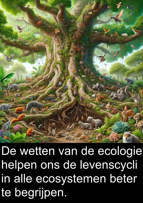 ecologie: De wetten van de ecologie helpen ons de levenscycli in alle ecosystemen beter te begrijpen.