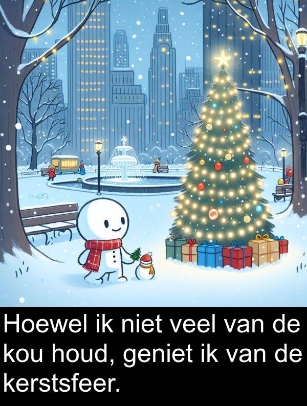 veel: Hoewel ik niet veel van de kou houd, geniet ik van de kerstsfeer.