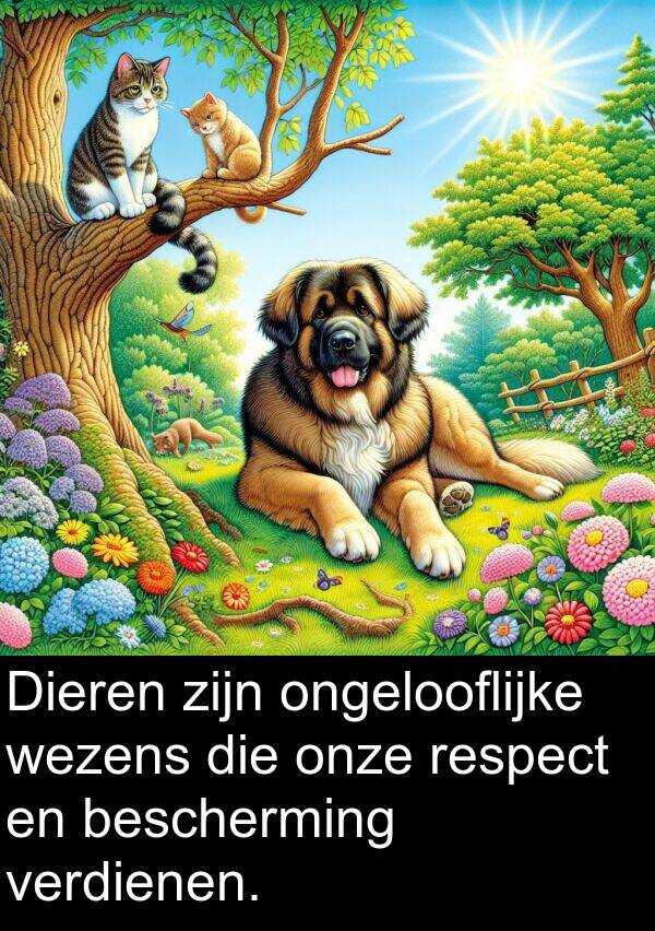 verdienen: Dieren zijn ongelooflijke wezens die onze respect en bescherming verdienen.