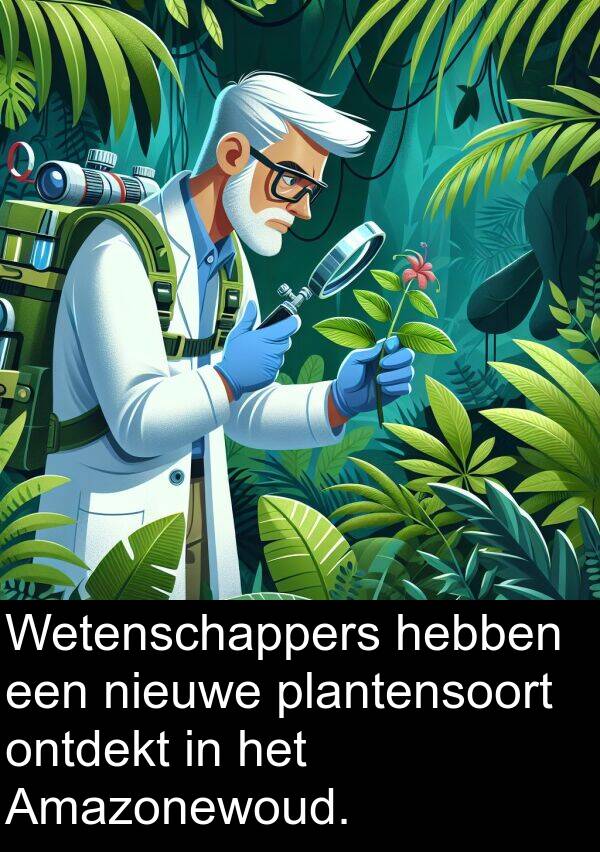 hebben: Wetenschappers hebben een nieuwe plantensoort ontdekt in het Amazonewoud.