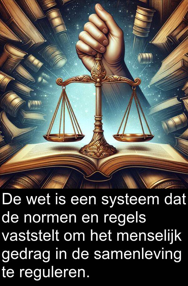 normen: De wet is een systeem dat de normen en regels vaststelt om het menselijk gedrag in de samenleving te reguleren.