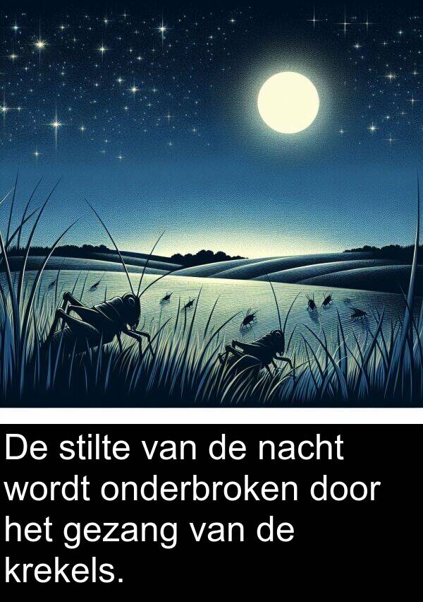 onderbroken: De stilte van de nacht wordt onderbroken door het gezang van de krekels.