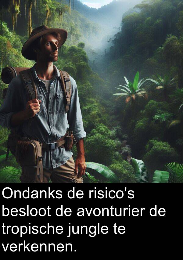 jungle: Ondanks de risico's besloot de avonturier de tropische jungle te verkennen.