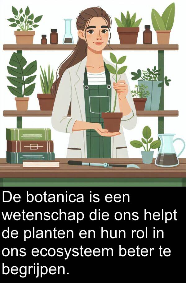 ecosysteem: De botanica is een wetenschap die ons helpt de planten en hun rol in ons ecosysteem beter te begrijpen.