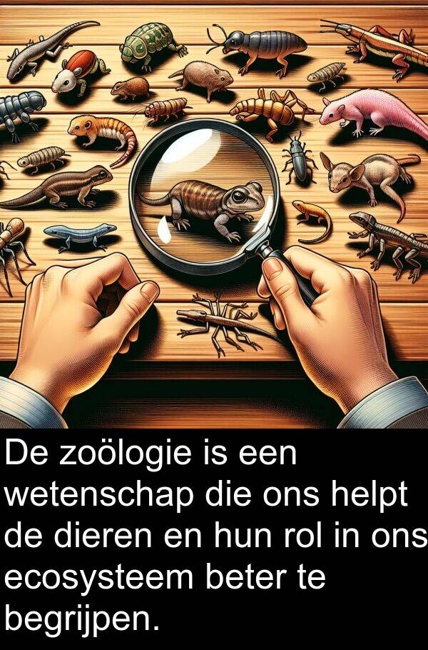 dieren: De zoölogie is een wetenschap die ons helpt de dieren en hun rol in ons ecosysteem beter te begrijpen.